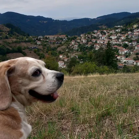 Rhodope House Momchil Yunak Момчиловци